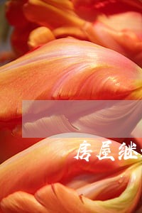 房屋继承析产纠纷的律师 房屋继承析产纠纷的律师