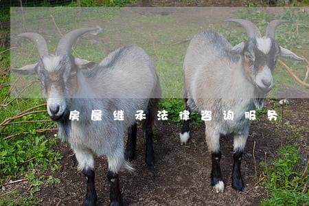 房屋继承法律咨询服务
