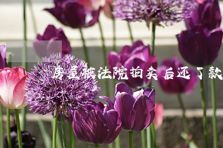 房屋被法院拍卖后还了款 房屋被法院拍卖后还了款