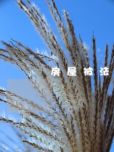 房屋被法院查封多长时间 房屋被法院查封多长时间