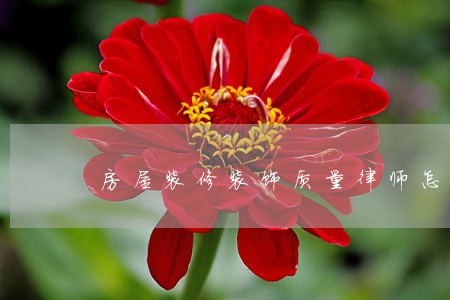 房屋装修装饰质量律师怎么收费 房屋装修装饰质量律师怎么收费