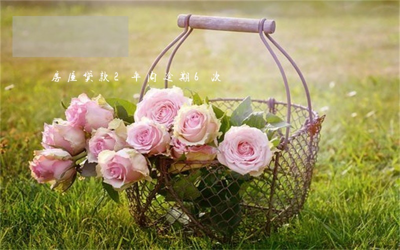 房屋贷款2年内逾期6次 房屋贷款2年内逾期6次