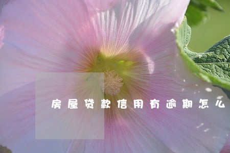房屋贷款信用有逾期怎么办 房屋贷款信用有逾期怎么办