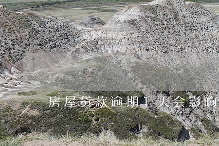 房屋贷款逾期1天会影响征信吗