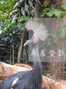 房屋贷款逾期2个小时
