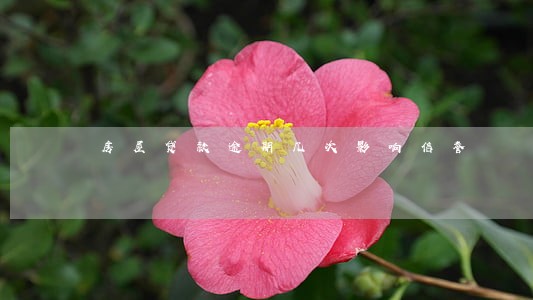 房屋贷款逾期几次影响信誉 房屋贷款逾期几次影响信誉