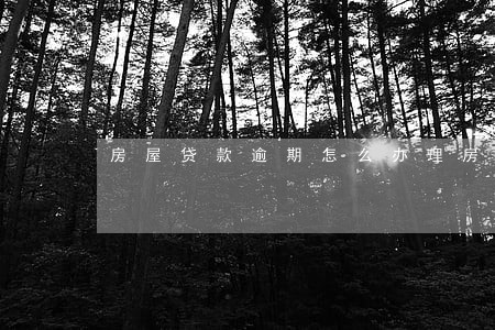 房屋贷款逾期怎么办理房产证 房屋贷款逾期怎么办理房产证