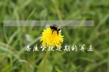 房屋贷款逾期的算法 房屋贷款逾期的算法
