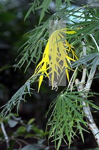 房屋过户相关法律咨询 房屋过户相关法律咨询