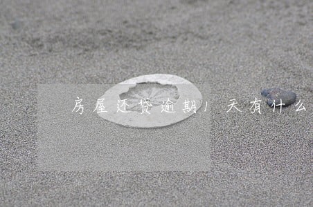 房屋还贷逾期1天有什么影响