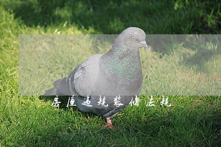 房屋违规装修法规