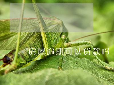 房屋逾期可以贷款吗 房屋逾期可以贷款吗