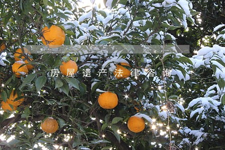 房屋遗产法律咨询 房屋遗产法律咨询