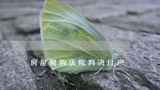 房屋限购法院判决过户 房屋限购法院判决过户