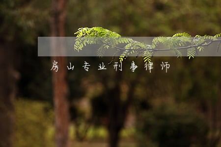 房山专业刑事律师 房山专业刑事律师