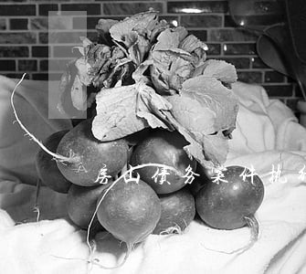 房山债务案件执行律师 房山债务案件执行律师