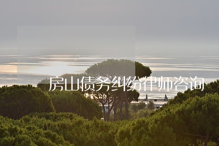 房山债务纠纷律师咨询 房山债务纠纷律师咨询