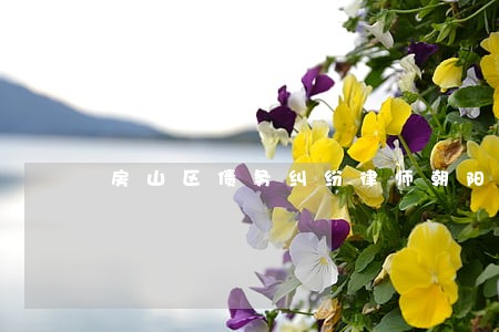房山区债务纠纷律师朝阳 房山区债务纠纷律师朝阳