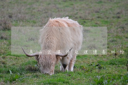 房山区律师处理债务纠纷通州 房山区律师处理债务纠纷通州