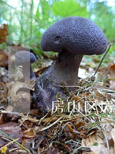 房山区房地产律师怀柔 房山区房地产律师怀柔
