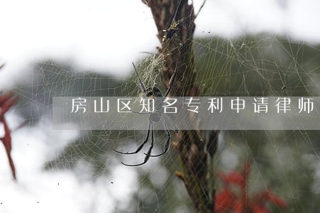 房山区知名专利申请律师咨询电话 房山区知名专利申请律师咨询电话