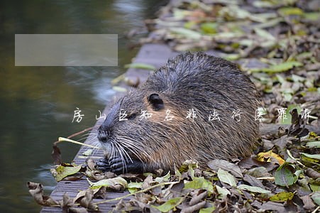 房山区知名非法行医罪诉讼律师 房山区知名非法行医罪诉讼律师