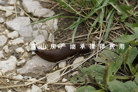房山房产继承律师费用 房山房产继承律师费用