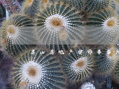 房山房地产律师事务所 房山房地产律师事务所