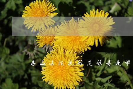 房山法院执行庭领导是谁 房山法院执行庭领导是谁