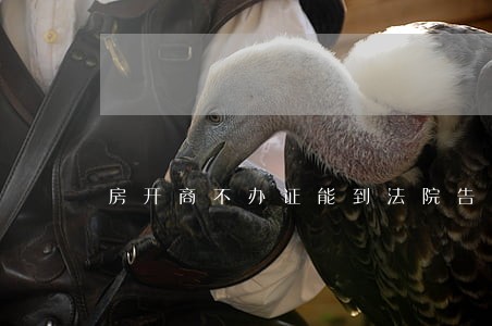 房开商不办证能到法院告吗