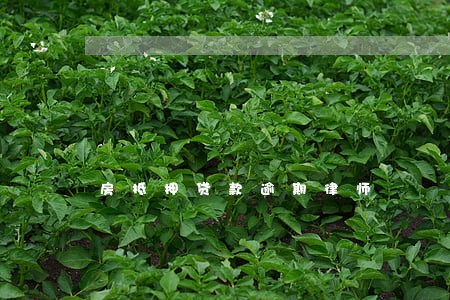 房抵押贷款逾期律师 房抵押贷款逾期律师