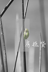 房抵贷有贷款逾期 房抵贷有贷款逾期