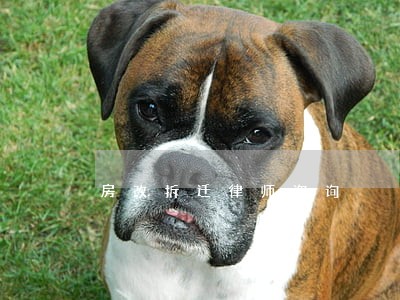 房改拆迁律师咨询