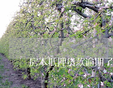 房本抵押贷款逾期了会怎么样 房本抵押贷款逾期了会怎么样