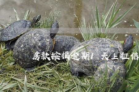 房款按揭逾期1天上征信吗 房款按揭逾期1天上征信吗