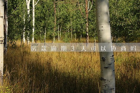 房款逾期3天可以协商吗 房款逾期3天可以协商吗