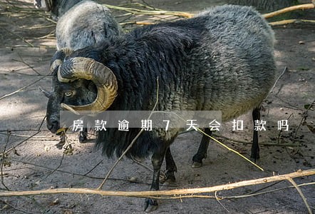 房款逾期7天会扣款吗 房款逾期7天会扣款吗