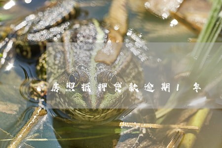 房照抵押贷款逾期1年 房照抵押贷款逾期1年