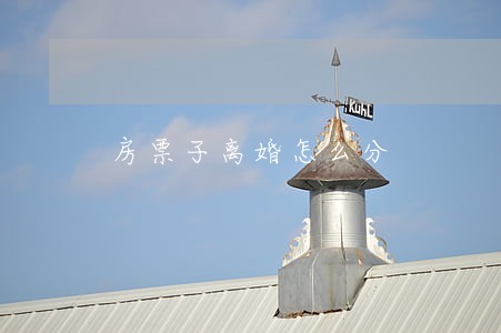 房票子离婚怎么分 房票子离婚怎么分