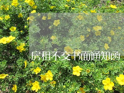 房租不交书面通知函 房租不交书面通知函