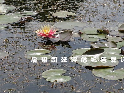 房租司法评估报告异议书 房租司法评估报告异议书