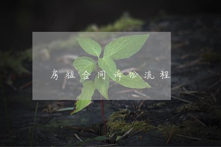 房租合同诉讼流程 房租合同诉讼流程
