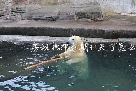 房租抵押逾期3天了怎么办 房租抵押逾期3天了怎么办