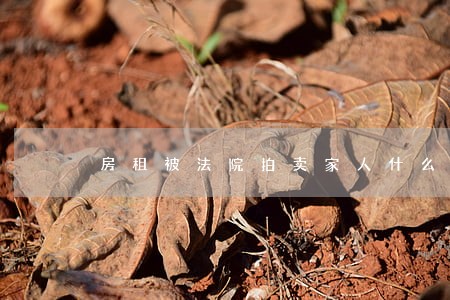 房租被法院拍卖家人什么办 房租被法院拍卖家人什么办