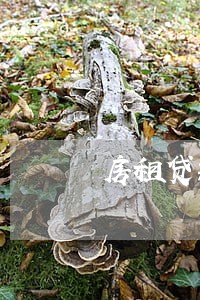房租贷款逾期3天 房租贷款逾期3天