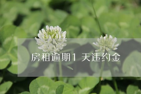 房租逾期1天违约金 房租逾期1天违约金