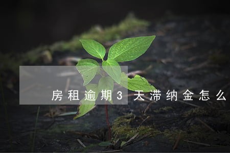 房租逾期3天滞纳金怎么算