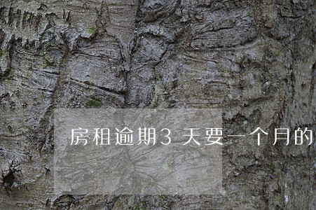 房租逾期3天要一个月的房租 房租逾期3天要一个月的房租