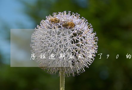 房租逾期五天涨了90的滞纳金 房租逾期五天涨了90的滞纳金