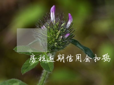 房租逾期信用会扣嘛 房租逾期信用会扣嘛